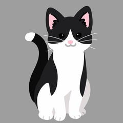 Obraz premium Simple and adorable black and white cat sitting in front view flat colored