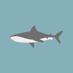 Fototapeta na wymiar Shark on a blue background, vector illustration