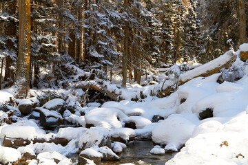 Fototapeta na wymiar The cleanest river in Russia Ullu-murudzhu in Kabardino-Balkaria in winter in the snow