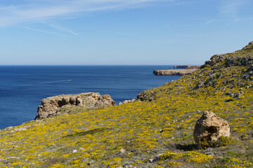 Panoramic view of the west coast of Menorca in a sunny day with blue sky (Balearic Islands, Spain)