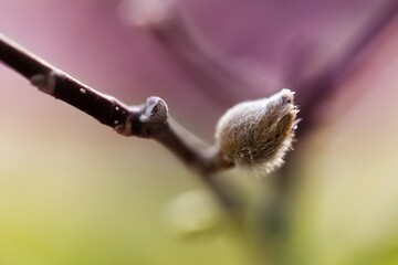 Springtime.