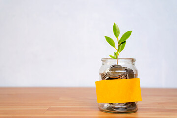 Saving growing money. finance and accounting concept money stack with tree grow
