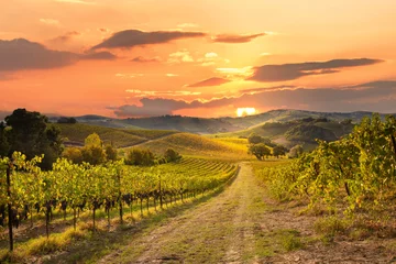 Foto op Canvas Wijngaarden en wijnmakerij in de herfst verlicht door de zon © Maresol