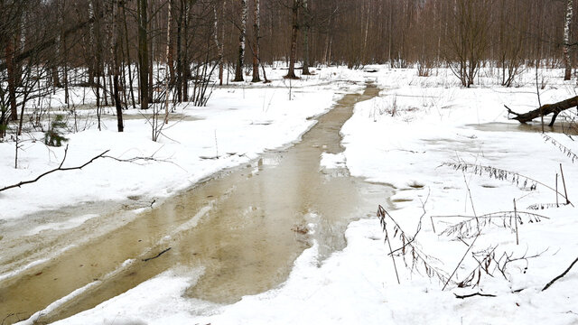 Thawed snow and pubbles with meltwater on the road in the forest in early spring landscape