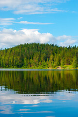 Forest reflection in the water, Karelia, Russia