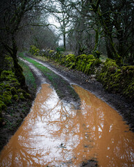 chemin de campagne bordé de pierre 