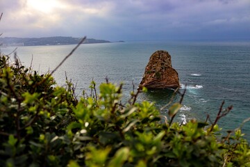 Rock in the sea with green plants