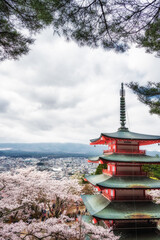 満開の桜と仏塔のある風景