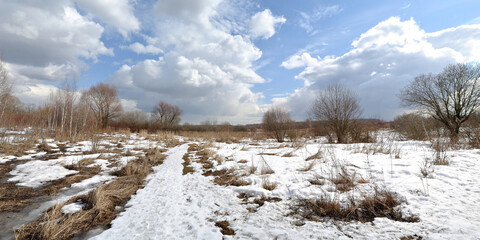 Spring walk through the forest, beautiful panorama.