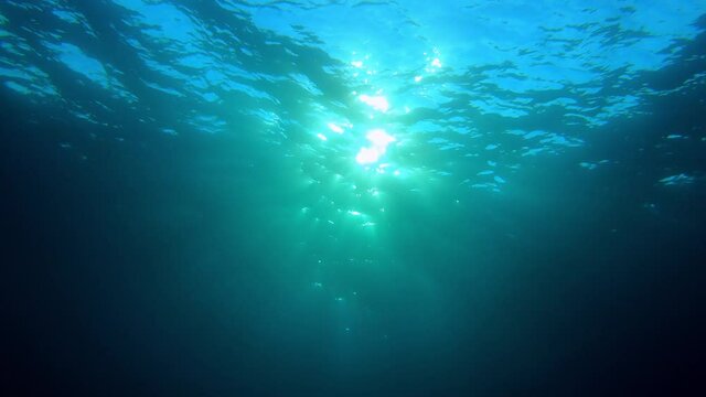 underwater scene with sun rays