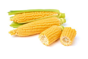 Fresh organic corn cob isolated on white background