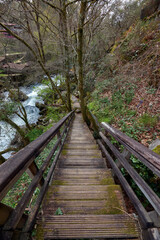 Wooden stairs on a path parallel to the Arenteiro river in a forest in Galicia, Spain.