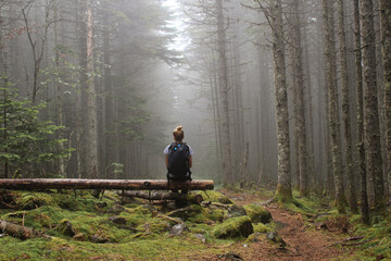 Hike to the forest in autumn. A young girl goes to the mountains with a backpack.