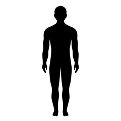 Naklejka premium Human body silhouette, vector icon