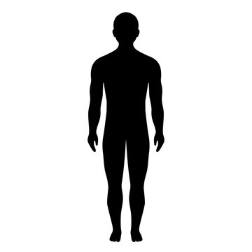 Human body silhouette, vector icon
