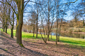 Enzauenpark Pforzheim, Blick durch B&auml;ume auf einer Wiese hindurch auf den Fluss Enz.