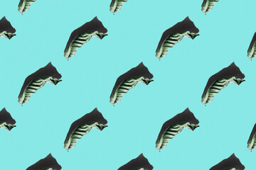 A dry leaf pattern with a dog-shaped shadow on a pastel blue background.