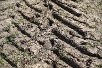 Reifenspuren eines Traktors in der Wiese