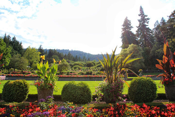 British Columbia Canada Vancouver Island Butchart Gardens flower