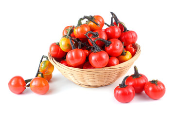 Ethiopian eggplant (African eggplant, Solanum aethiopicum, the bitter tomato, nakati)