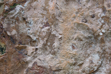 Dry lichens on rocks background.