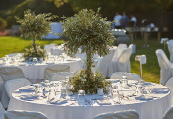 Wedding. Banquet. The chairs and round table for guests, served with cutlery, small olive tree and covered with a white tablecloth