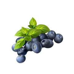 Bilberry berries with leaves isolated on white. Bilberries are low-growing shrubs bearing edible, nearly black berries. Blueberries. Used for culinary purposes. Fruits collection. Digital art.