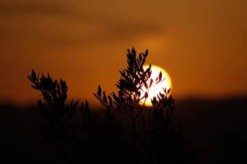 Atardecer 