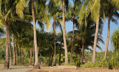 Costal area in Bangladesh