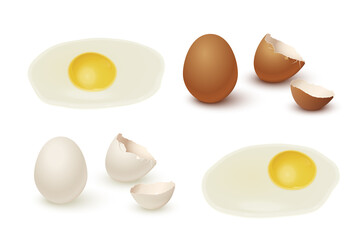 Raw egg, yolk and protein, eggshell set. Organic fresh food for breakfast vector illustration. Broken shell, white and brown eggs ready for cooking and eating on white background