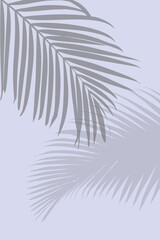 Abstract gray background with shadow from palm branches. Template for presentation. shadows of leaves fall to surface. Silhouette of tropical leaves, natural pattern, texture. Space for text