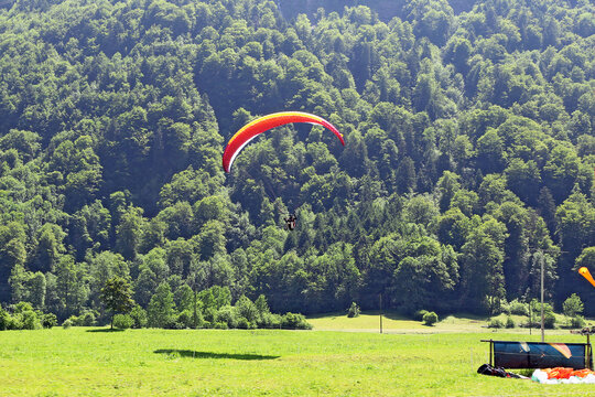 paraglider landing on the background of the mountain covered with forest
