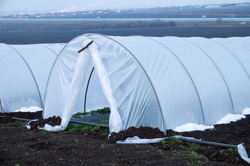 Ground greenhouses are left for the winter. The cultivation of strawberries. Wintering of berry...