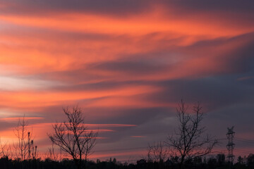 Whole sky covered in sunset clouds. Horizontal pattern. Horizontal stripes of sunset clouds. Majestic view of orange and pink sunset. 