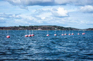 Fototapeta na wymiar Red buoys float on the water. Panoramic view of the Baltic Sea Bay on sunny spring day. Rocky shores of Scandinavia covered with evergreen forests. Traditional Swedish wooden houses on the coast. 