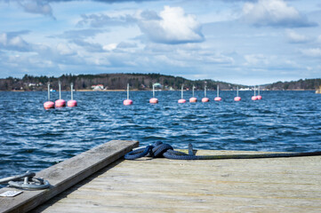 Red buoys float on the water. Panoramic view of the Baltic Sea Bay on sunny spring day. Rocky shores of Scandinavia covered with evergreen forests. Traditional Swedish wooden houses on the coast. 