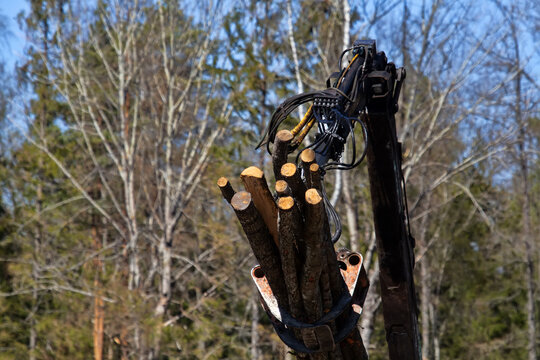 "Logging Truck" Images – Browse 1,661 Stock Photos, Vectors, and Video | Adobe Stock