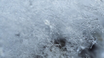 Real structural shiny snowflakes close-up.