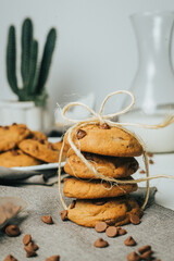  Chocolate chip Cookies on white table concept shot with milk, green cactus grey napkin