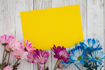 Fototapeta premium Blank yellow card with blue and pink daisies bunch of flowers