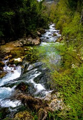 Fototapeta premium waterfall in the forest