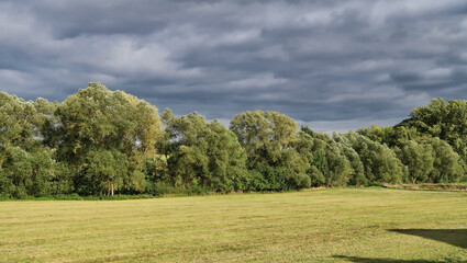 Fototapeta premium sunny green trees in green field under dramatic thunder grey clouds