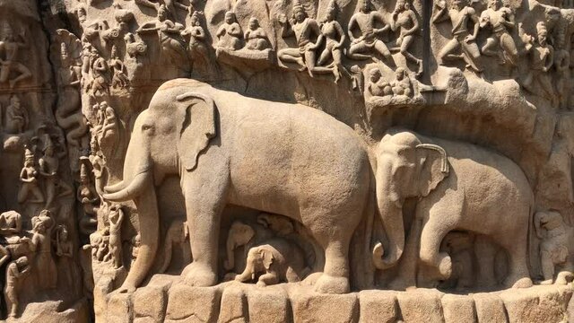 Bas relief rock cut sculptures of Elephant and human are carved in the monolithic granite rocks in Mahabalipuram, Tamil nadu. Ancient historical Indian rock art relief sculptures in large stone panel.