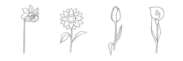 Hand-drawn flowers set. Narcissus, sunflower, tulip, calla lily. Simple botanical sketch collection, line, floral drawing, minimalism.Doodle style.Isolated on a white background.Vector illustration.