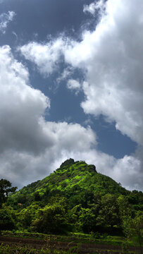 Hikers in the mountain and greenery top view