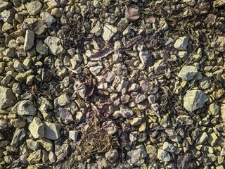 dirty white rubble on the road in early spring after the snow melted