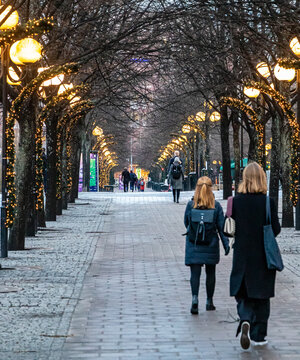 Kungstr&auml;dg&aring;rden