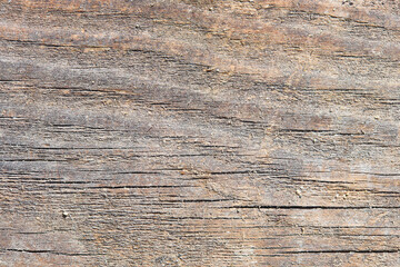 Fototapeta premium Old sandy weathered washed tainted wood texture with some moss and grains of river sand. Natural textured closeup rot log background.