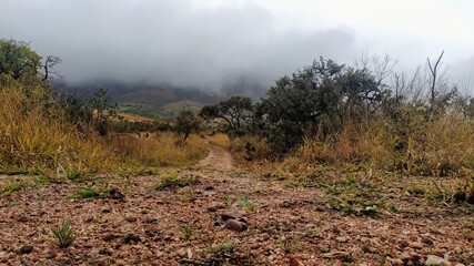 fog in the mountains