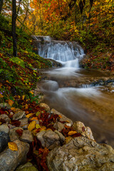 Fototapeta na wymiar autumn stream in the forest